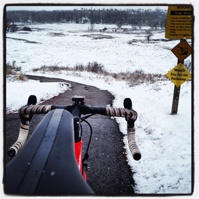 I can't see the difference can you see the difference?